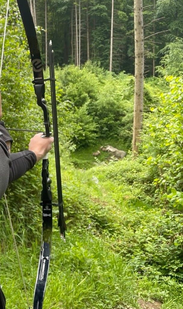 Eine Person in sportlicher Kleidung hält einen Bogen und zielt auf ein Ziel im dichten Grünen. Im Hintergrund sind Bäume und Pflanzen sichtbar.Bogenköcher Q7